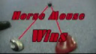 Keytools Mouse Curling