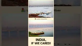 Yamuna Without the Foam | India, If We Cared 🇮🇳