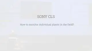 Pitch #22 SONY CSL