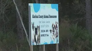 Residents raise concerns over overcrowding, euthanasia at Alachua County Animal Services