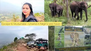 Day 1 of our trip in Ooty (Escape to Mudumalai: Unwind in Nilgiri’s wild haven)#karnataka#tamilnadu 