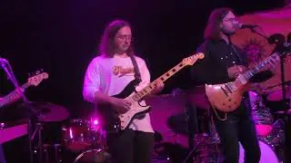Thompson Springs-Highway Butterfly live in Madison, WI 6-11-24