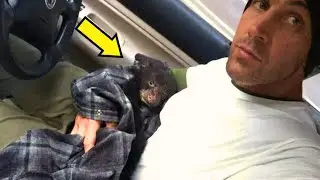 Man Rescues Bear Cub, What Happened Next Shocked the World