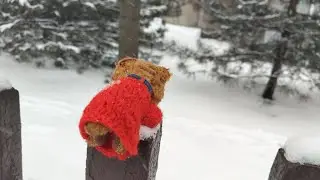 Влог зимний вайб