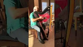 Rudi Princen op harp (