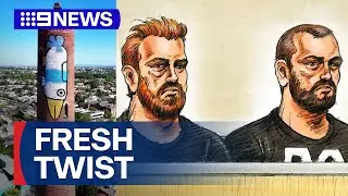 New twist in Pam the Bird graffiti saga | 9 News Australia