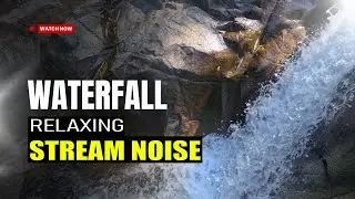 4K Waterfall Ambience &bull; Relaxing Forest Stream &bull; ASMR Nature (No Music)