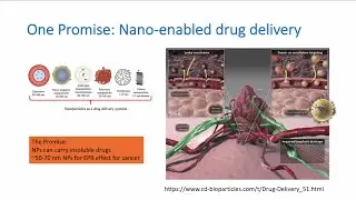 Catherine Murphy: Golden Opportunities at the Nano-Bio Interface