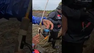 Fishing reel gone wrong?! #fishingvideo  #fishing #fishinglife #fishingreels