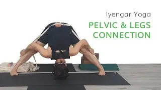 Pelvic and Legs Connection--Iyengar Yoga