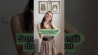 Pět znamen&iacute;, že m&aacute;&scaron; dokonal&yacute; život 🤗 Co ti chyb&iacute; k dokonalosti??😉🐱🐱🐱