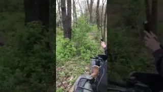 Crf 110 jump