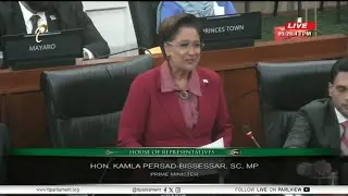 Премьер-министр хвалит оппозицию за поддержку законопроекта о регулировании фейерверков