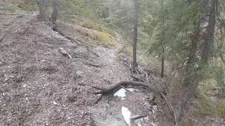OnlyHikes - Episode 1 - Bluemat Hill