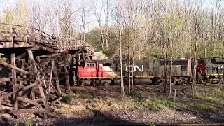 CN 5607 & CN 8901 Locomotives CN Manifest Train At Denfield Rd Bridge