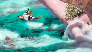 SOK - Sirena y Pez (Audio Oficial)