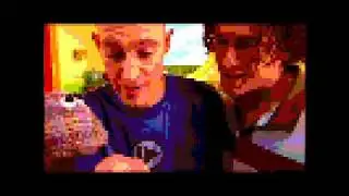 ytp fido