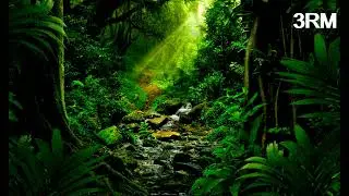 MEDITATION, RELAXING MUSIC RELAX MIND BODY POSITIVE ENERGY AND NATUREL SOUND  3RM#51