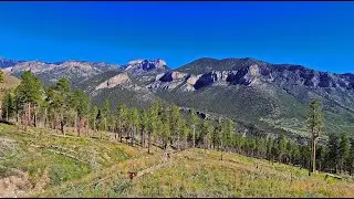 Fletcher View Ridge | Mt. Charleston Wilderness, Nevada