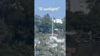 Let sun shine fill day with light | #sunshine #nature #life