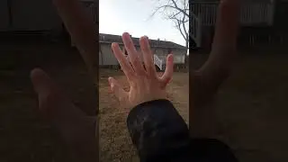 What are those thingys?