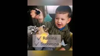 Veiklos kubas - Smartoys.lt