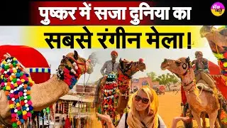 Pushkar Fair 2025 | पुष्कर में सजा दुनिया का सबसे रंगीन मेला!