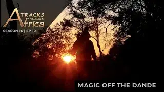 Magic of Dande  I  TAA Season 16 Episode 10
