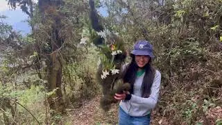 Nepal Natural Beauty Geku Behind the scene | Calming Scene Of #solukhumbu | Hill Below Mount Everest
