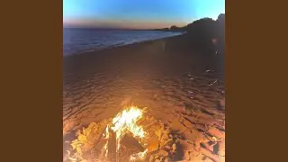 Where Summer Never Ends