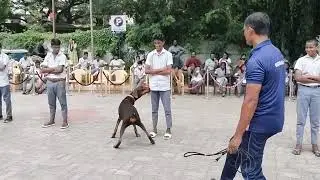 Tamilnadu Police Dog Show