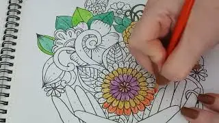 Brain Games Color by Number Stress-Free Coloring Book 26