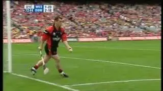 Westmeath vs Down Hurling 2005