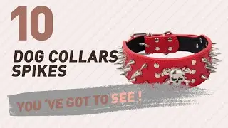 Dog Collars Spikes // Top 10 Most Popular