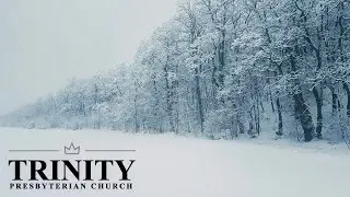 The Faith and Obedience of Joseph | Matthew 1:18-25, 2:13-15, 19-23