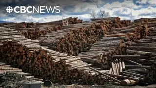 Mill closure in 100 Mile House 'a devastating blow,' says local MLA