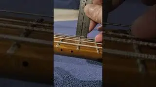 Guitar / Bass Saddle Height Trick #bassplayer #guitartech #luthier