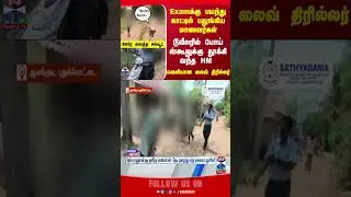 Pudukkottai || Alangudi || TNSchool || TNStudents