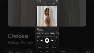 Felicia Temple - Choose (BTFV AMAPIANO REMIX)