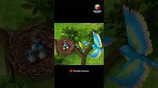 Save Tree Save Life | Save Trees Save Earth