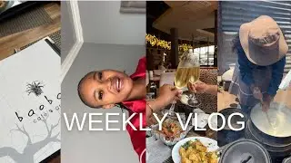 Weekly Vlog | Family, lunch with a friend and more