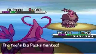 Pokemon Wifi Battle #16 [Vs ENTEIMAN2]