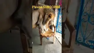 #viral #viralvideo #shorts #shortvideo #ytshorts #youtubevideo #like #subscribe #views #comment