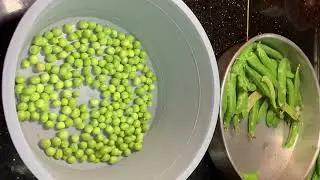 How to clean and freeze peas 