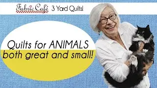 Quilts PERFECT for Animal Lovers! - 3 Yard Quilts