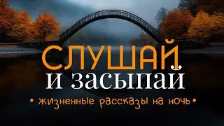 Этот голос точно убаюкает любого. Сборник душевных историй на ночь