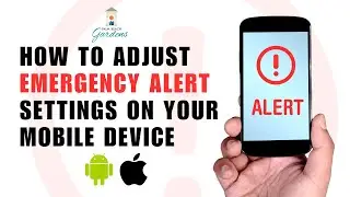 Never Miss an Emergency Update! How Set Up Alerts on iPhone & Android