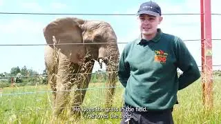 🎉🐘 Happy 18th Birthday Janu! 🐘🎉