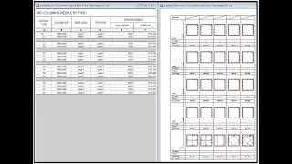 Revit-Dyn Script : Updating 2D Column Schedule according to Model Information