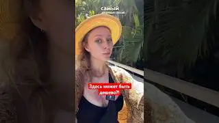 Вы удивитесь, как здесь дешево #сша #тревелвлог #гавайи #путешествия